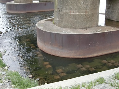 橋脚周りのバス