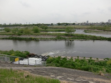 南多摩水再生センターからの流れ込み
