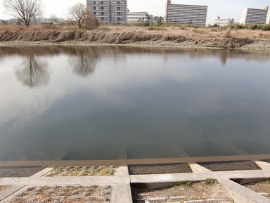 ���]�̌ܖ{��2