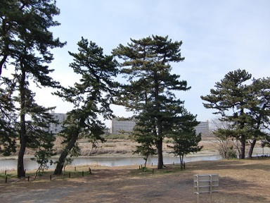 ���]�̌ܖ{��3