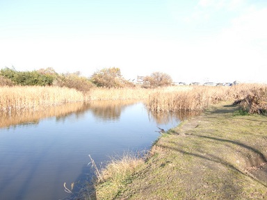 �Ђ傤����r2