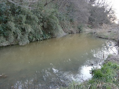 �쑽�����Đ��Z���^�[���̒r10