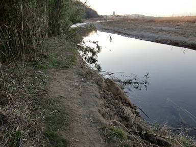 �쑽�����Đ��Z���^�[���̒r6