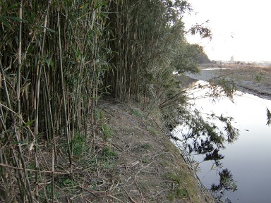 �쑽�����Đ��Z���^�[���̒r7