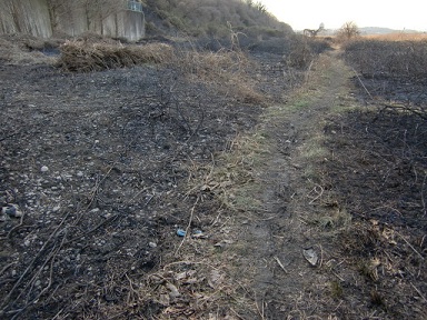 �쑽�����Đ��Z���^�[���̒r8